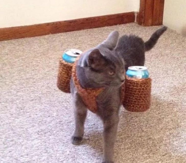 f9a72f5f82ad5159490ab20e86