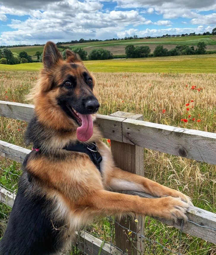 f9ac1757bab3ff629972a98a78