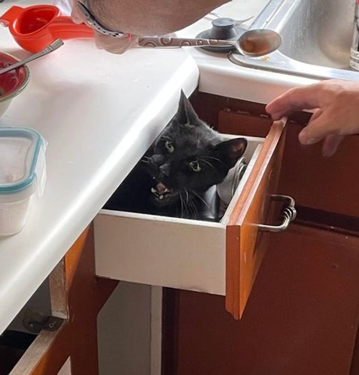 f9b37a5c368271de74240033f7