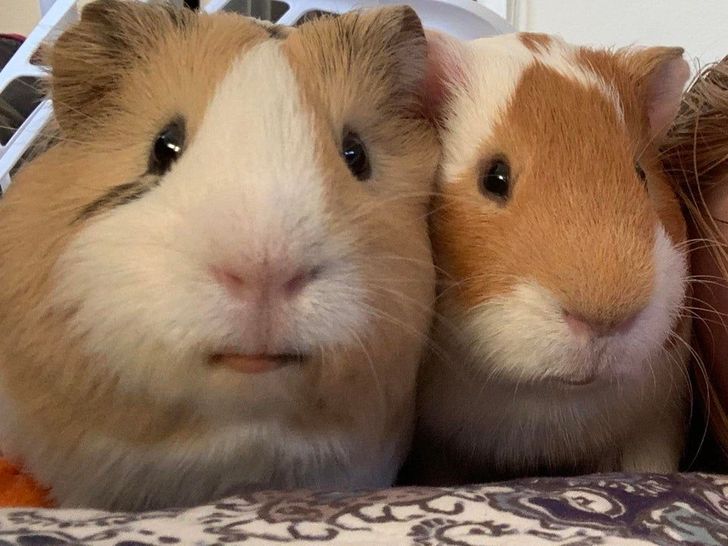 f9b4af5f2e824edce3105d03f4