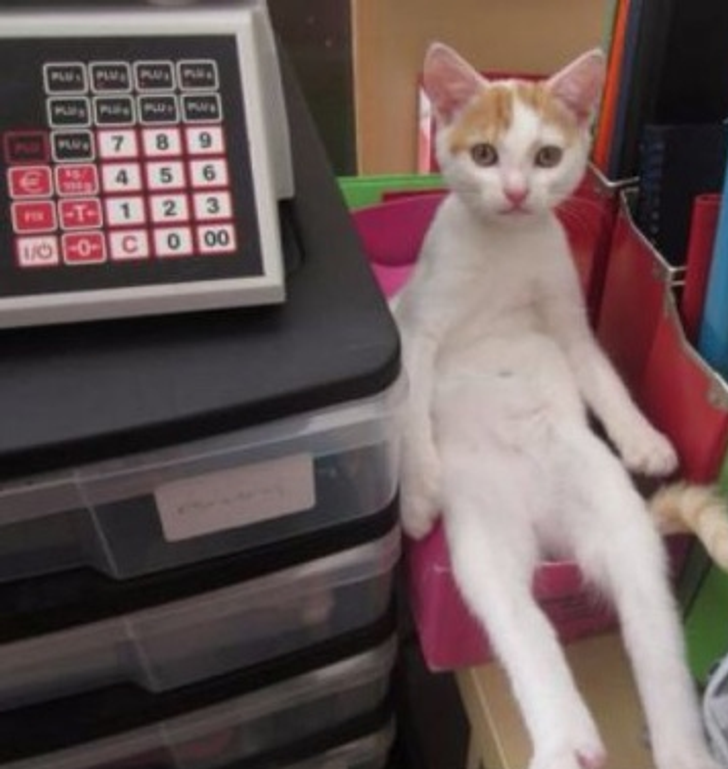 f9b53156138cdb083e057d072f