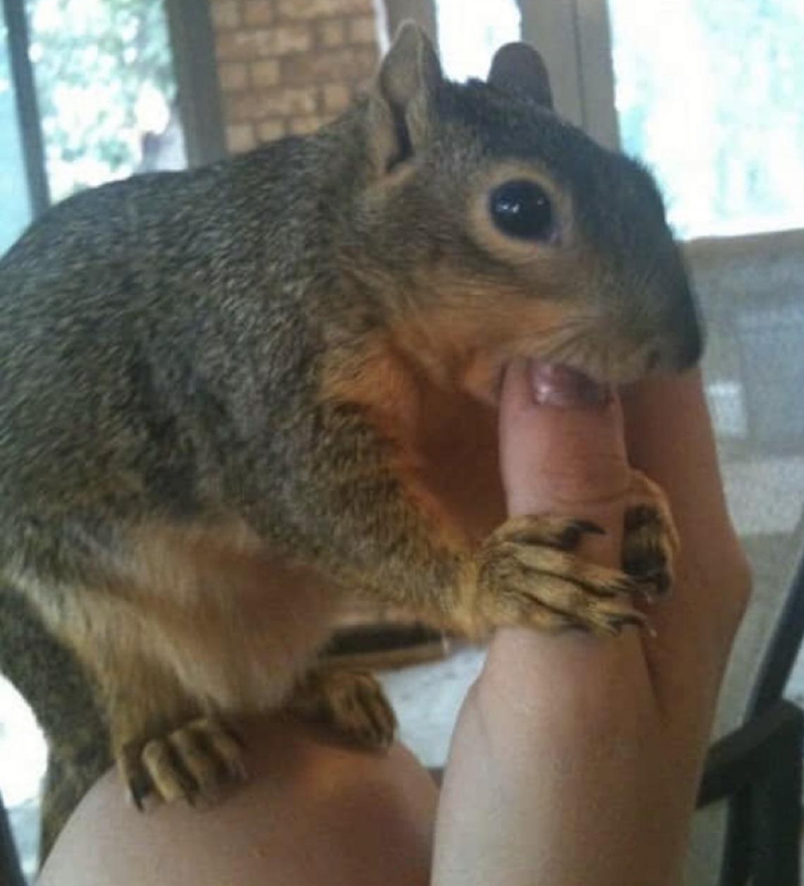 f9bf4b525b986264396dfd3d3e