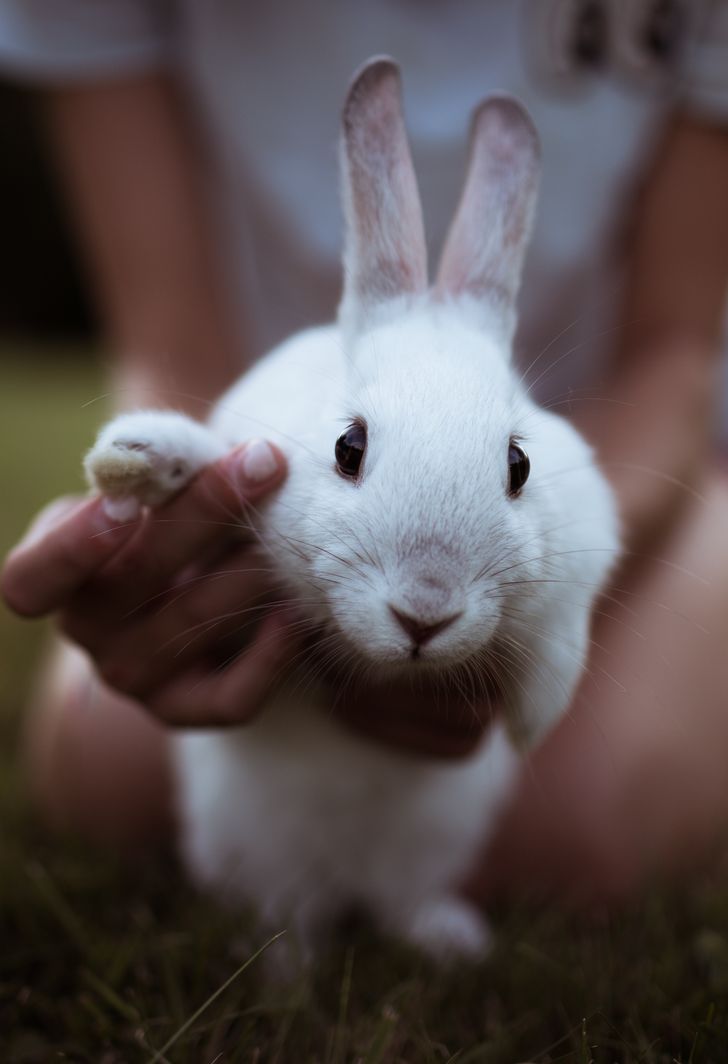 f9c64754e88b235f48244a82e3