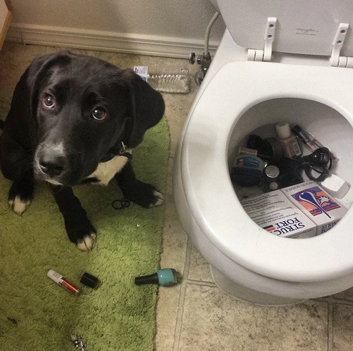 f9c78f5bad881f21fdaf615d37