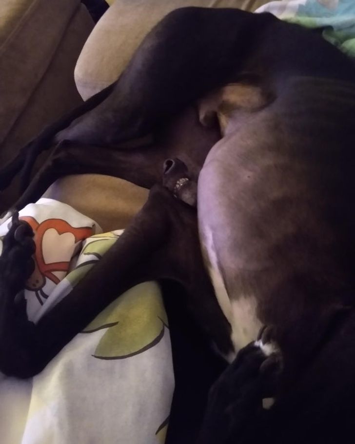 f9ca8e580aa1b5b68b71014d1b