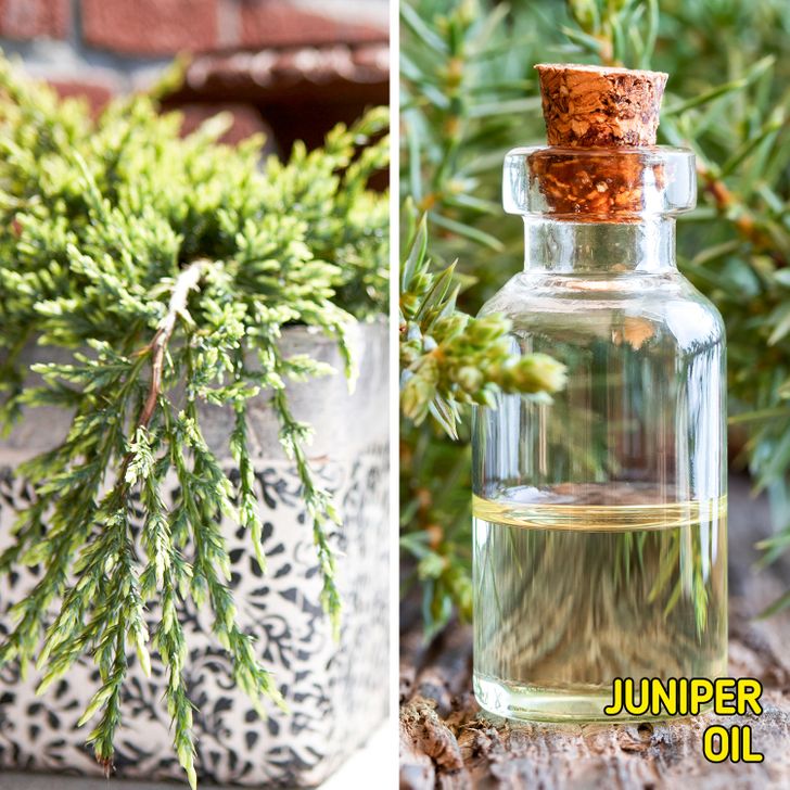 f9caa15a81bcdb6c2b8eef4973