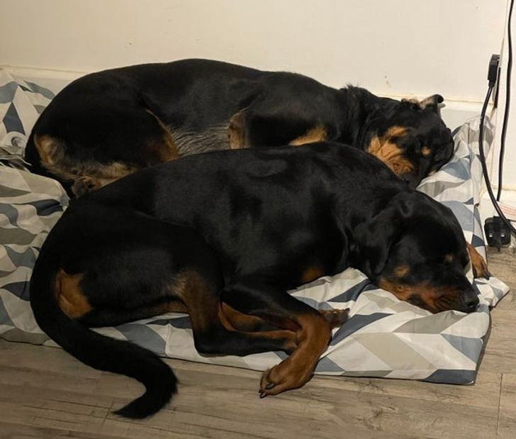 f9dc185c8ca95ed83624177bbb f9dc185c8ca95ed83624177bbb