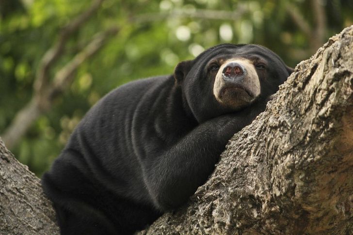 f9e5e75094ab837b1a7f00c728