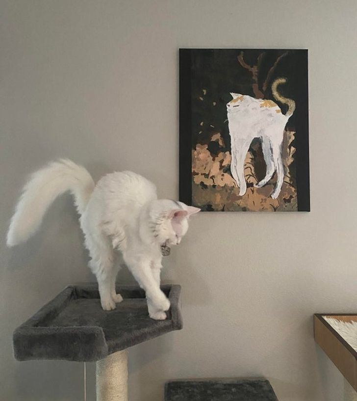 f9e67650b1b5170598094da8da