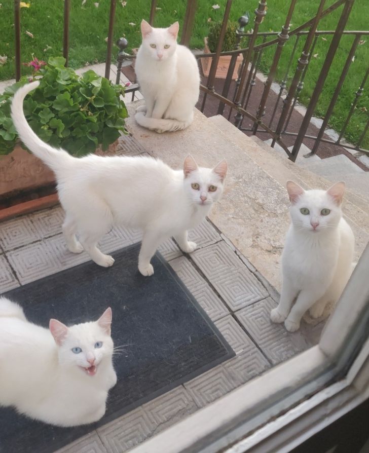 f9ea15562ea45b722aa304a221