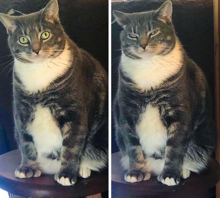 f9f0b25715af6779b0874e1de3