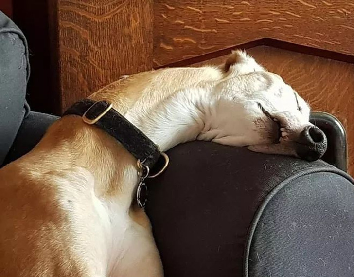 f9f8665fb980d35346697934d0