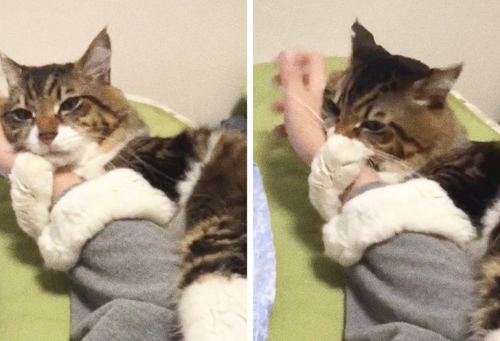 f9fdf25b89a8d0c24654532d85