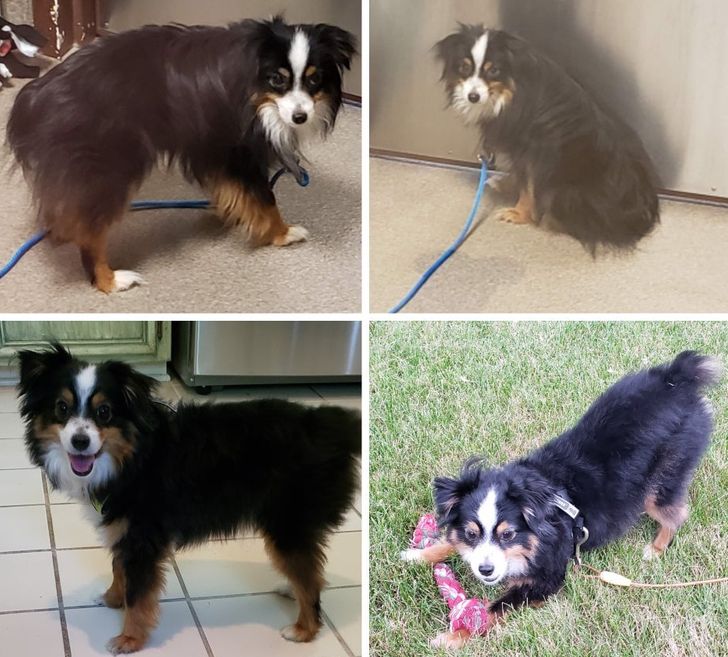 f9ff965ffaa987e078d1b4cef6