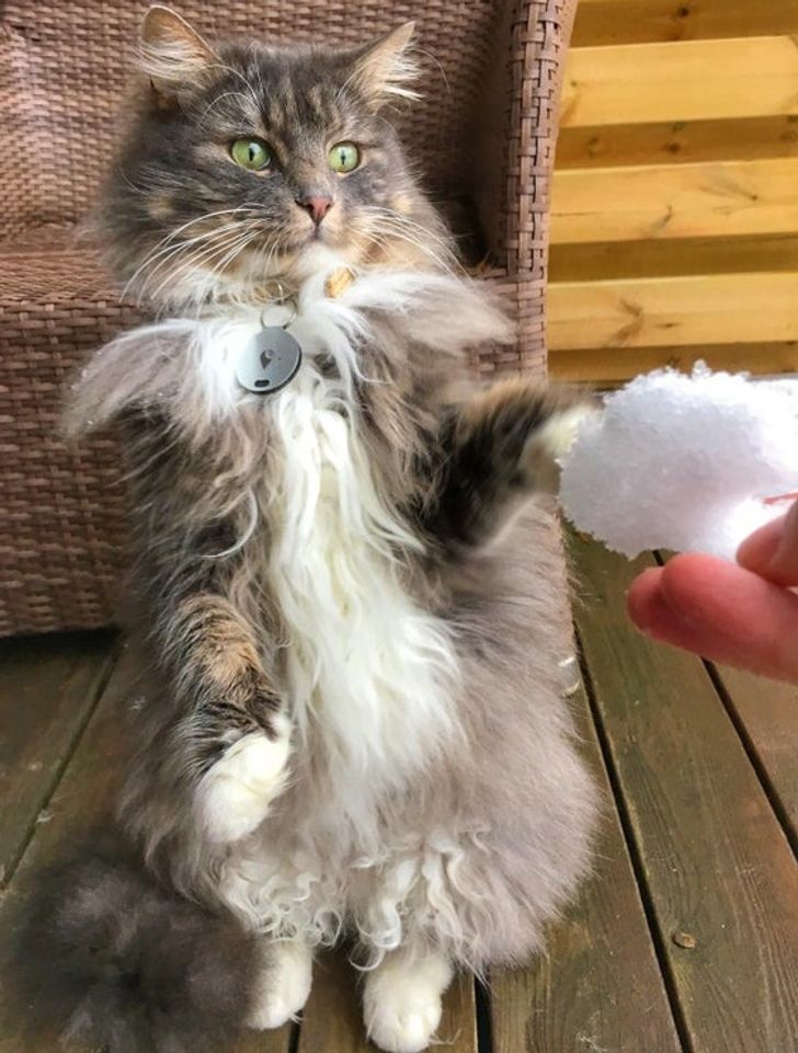 fa0349514d9ebd6425f4edbef6