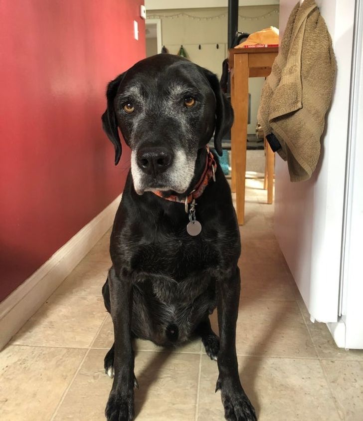 fa054e510793bd6ccc939b5a1d