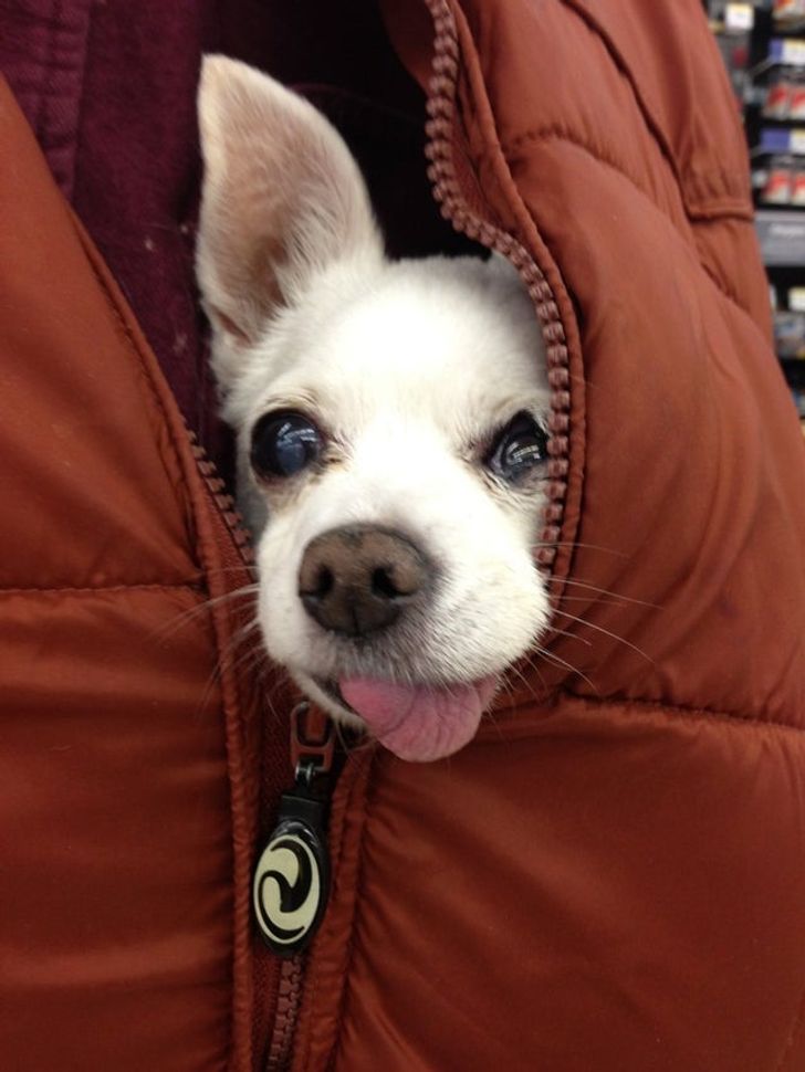 fa071c5b758eb5b6388b387072