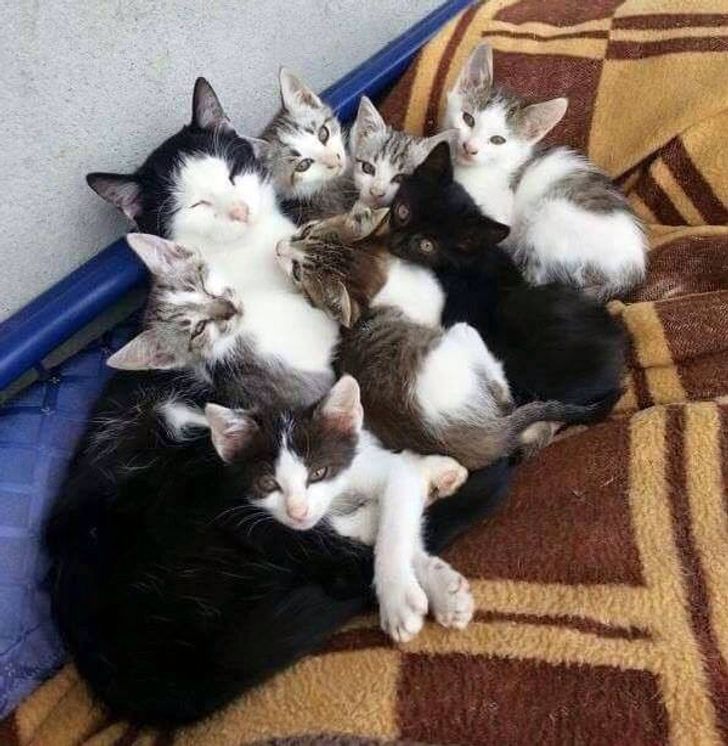 fa13e15f50a8e1902d240a2f8b