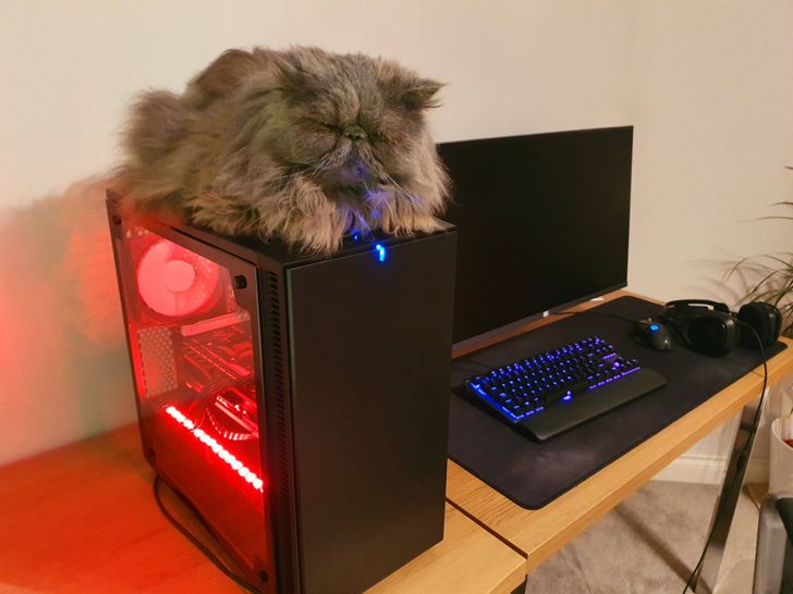 fa22775ee38bf57dd8e0129712