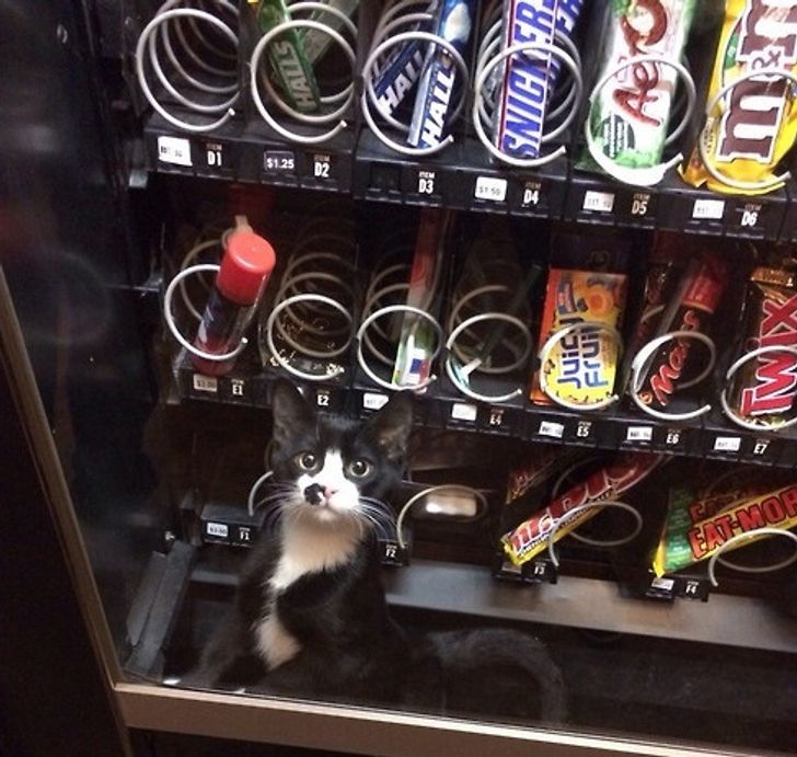 fa23c45d96bb718493bee22851