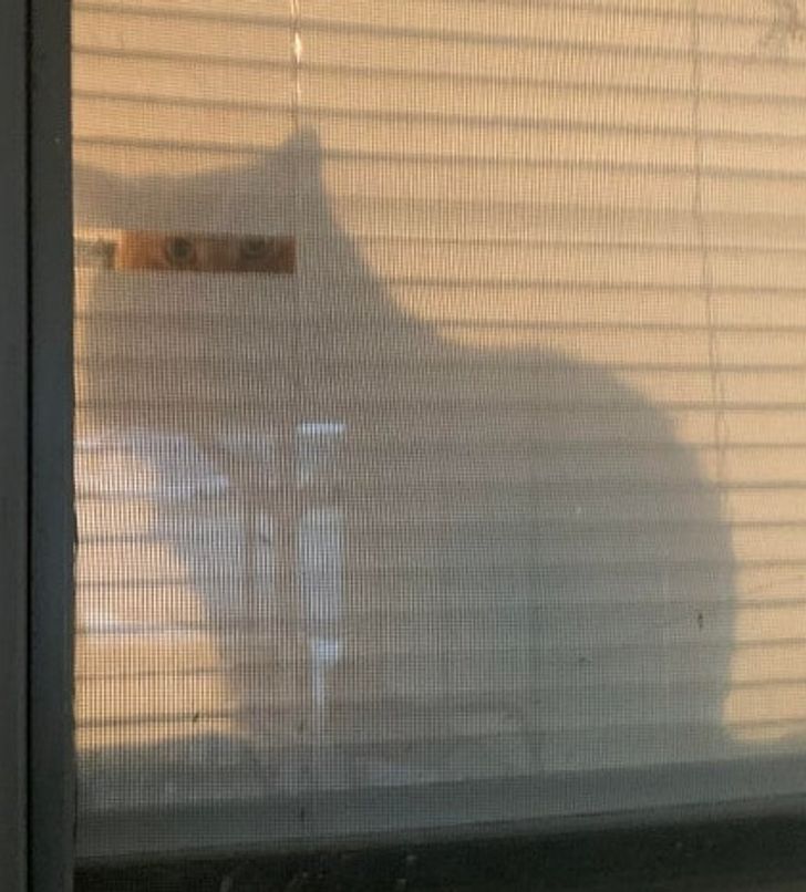 fa26ae51b4ae3c6981c282c660