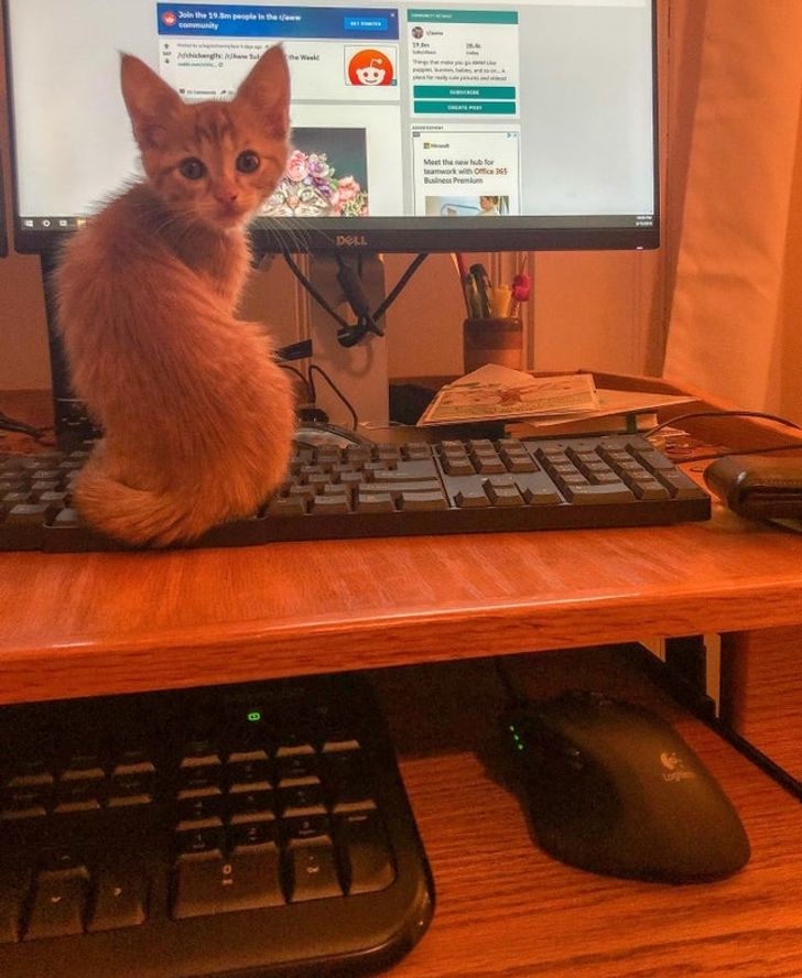 fa2b2c52f19408c349f1b35309