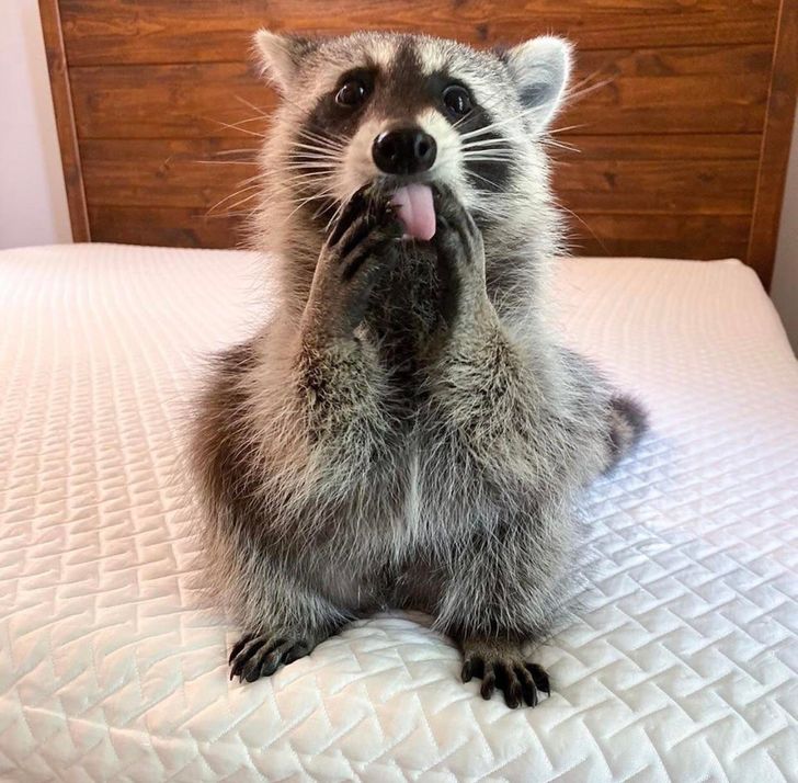 fa2ced5bc388d2d248a720c24f