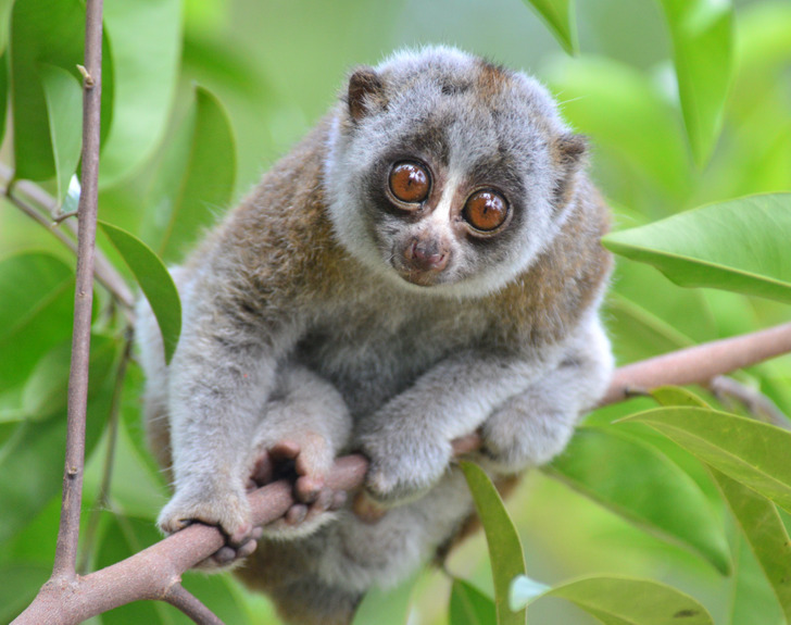 fa339a54ad843657dc903662c7