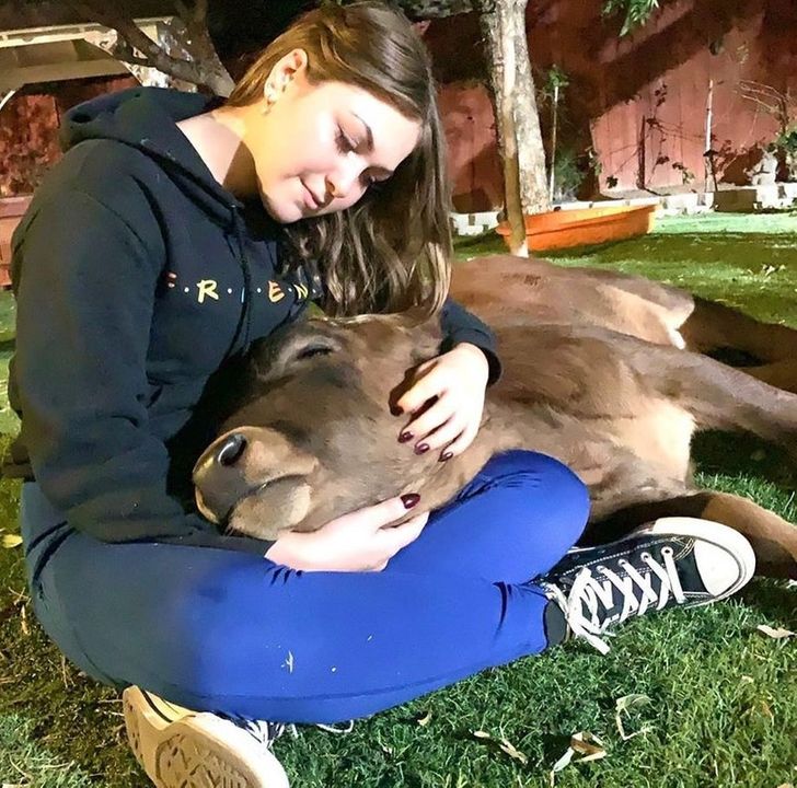 fa372f55c19743dc8d9f39de9f