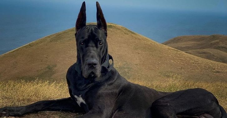 fa391e5d3fa7faaa6a1c2ea2dc