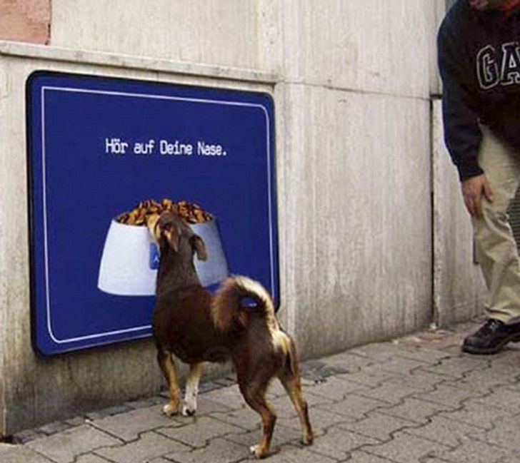 fa39e1554c9cd7a37c60cb5c4f