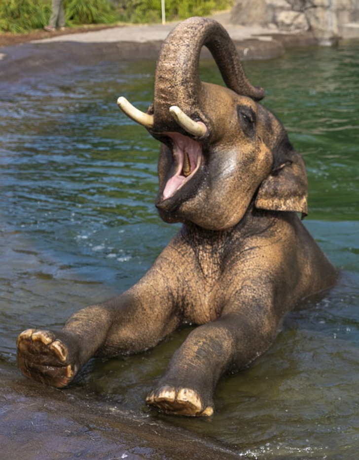 fa3ce551b5b7cd32a5c5d95f58