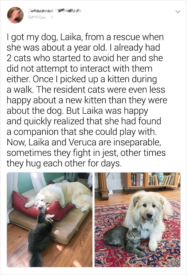 fa49005818beaebddefcab10a0