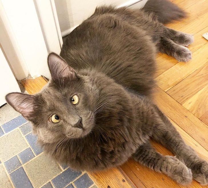 fa4a34571d9f7933b3838e7e74