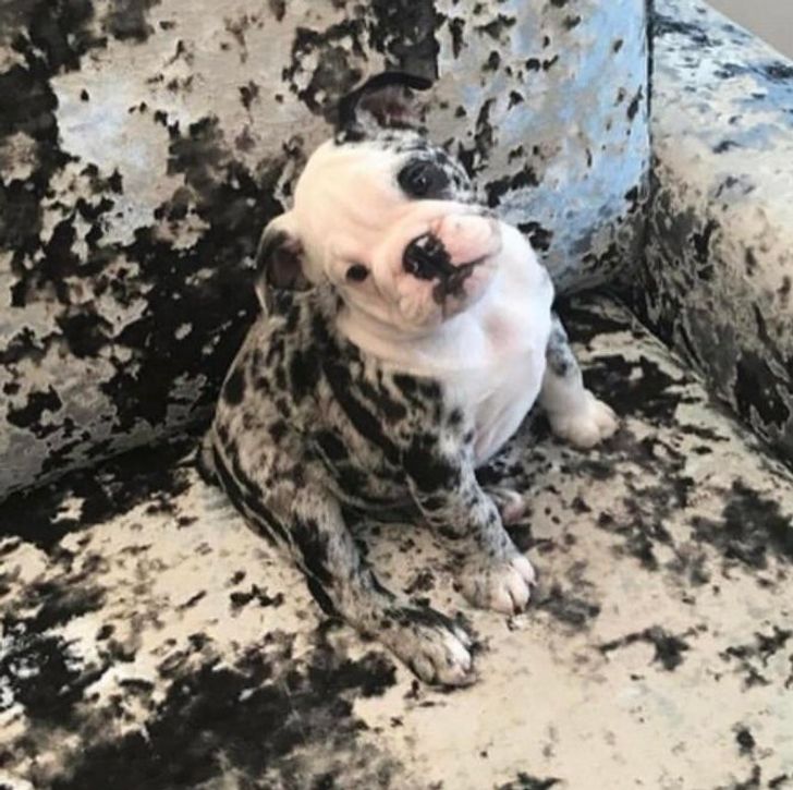 fa4d7255809616d837b153aa83