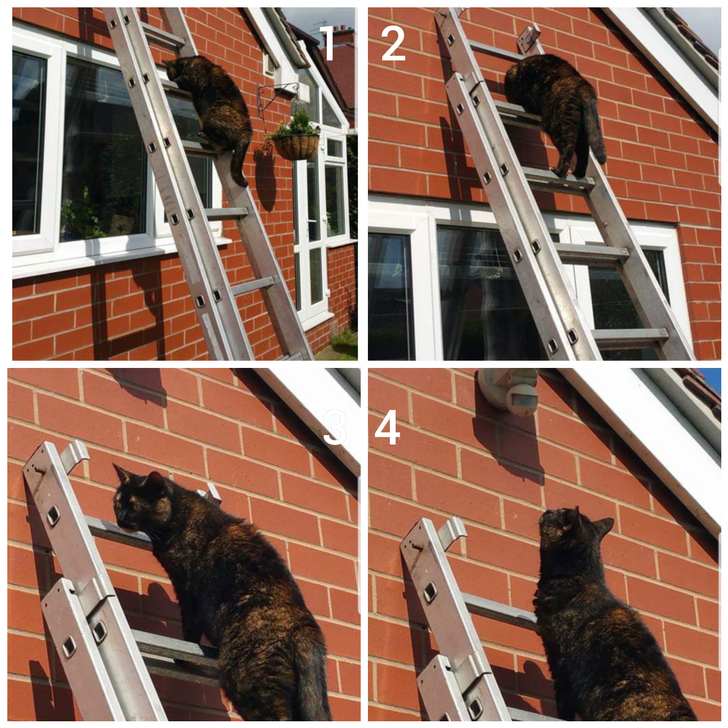 fa4ff25879bfbb940961799859 fa4ff25879bfbb940961799859