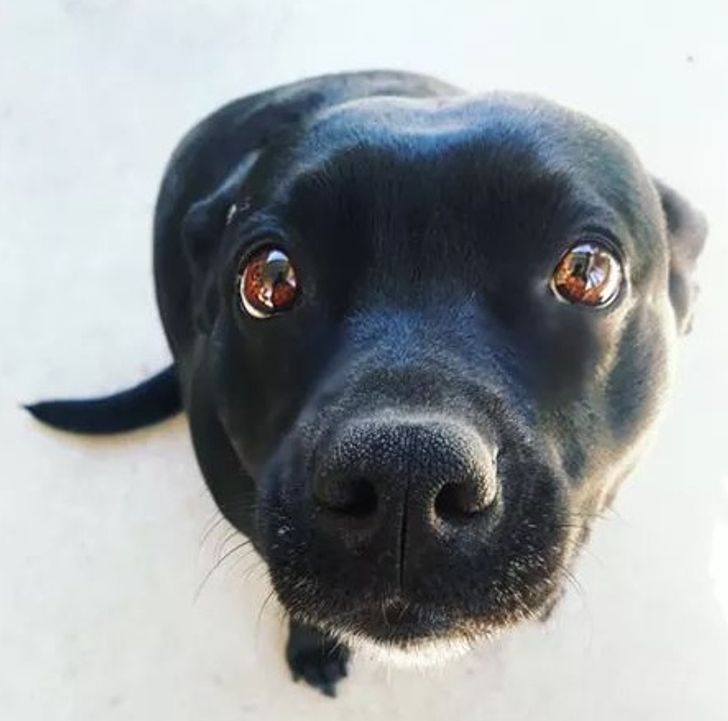 fa51295d6abb186cdeca0d090f