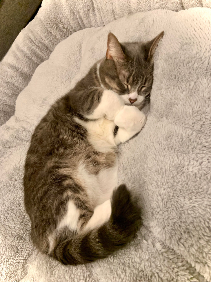 fa61955512bd4057dd2eaeca72