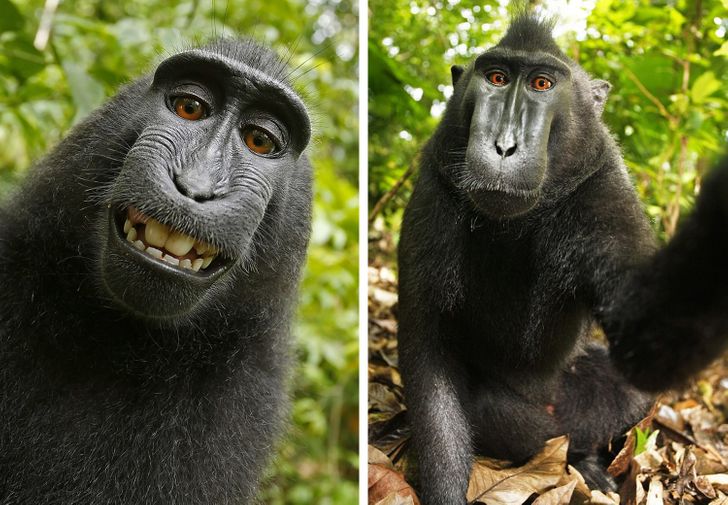 fa672e5df6918752004f510747