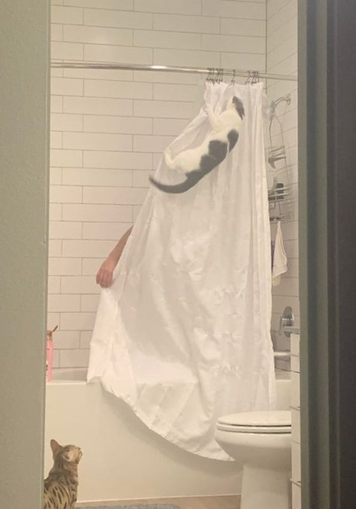 fa69bc52598361bb94f63f19e0