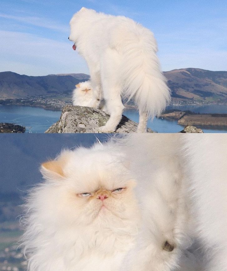 fa6c81529ebf11252b94c70154