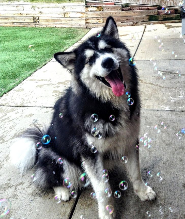 fa85a4598387e6939b4bf6e5da