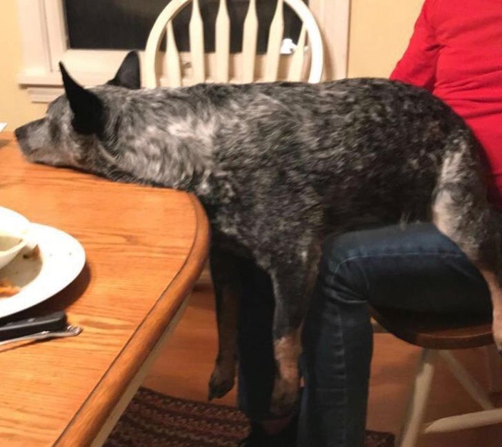 fa88225287ae41b771e50608c5