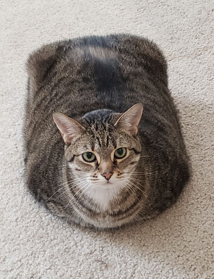 fa886054fdb0a71f6845f3be25