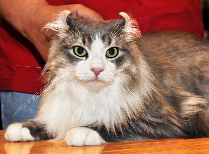 fa967c52b78971ea3e95d80185