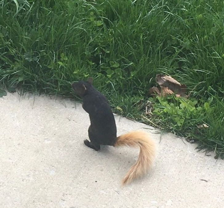 fa96ee5b99ba677c47db88f137