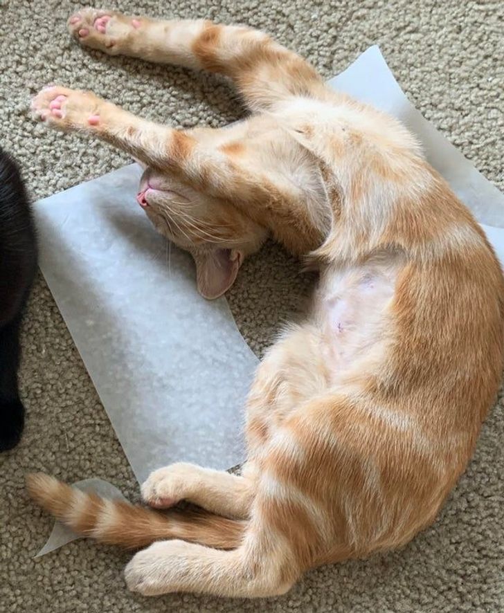 fa975f56e28463c58a07c02e27