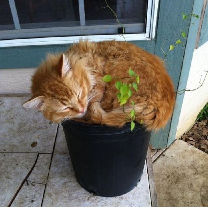 fa9dab59e4be2b75e77c979040