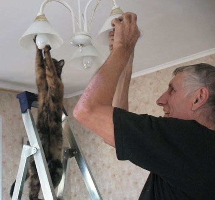 faa27a50baa3793e7d772ab923