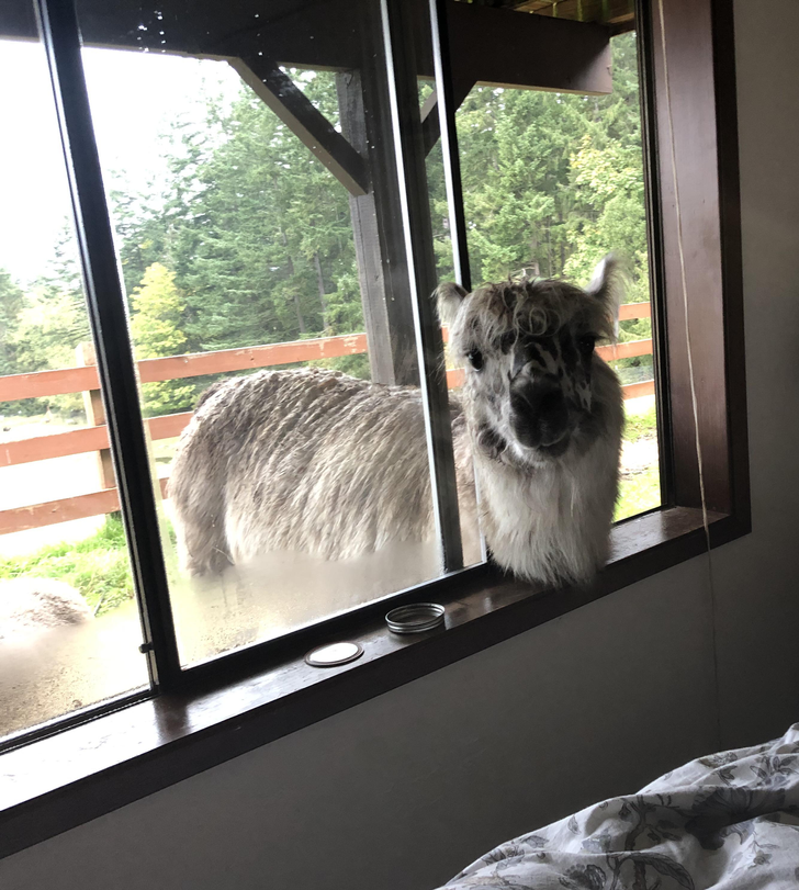 faa2d55997a00061e4729ba4e8